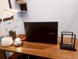 IMG 20251118 104451 300x225